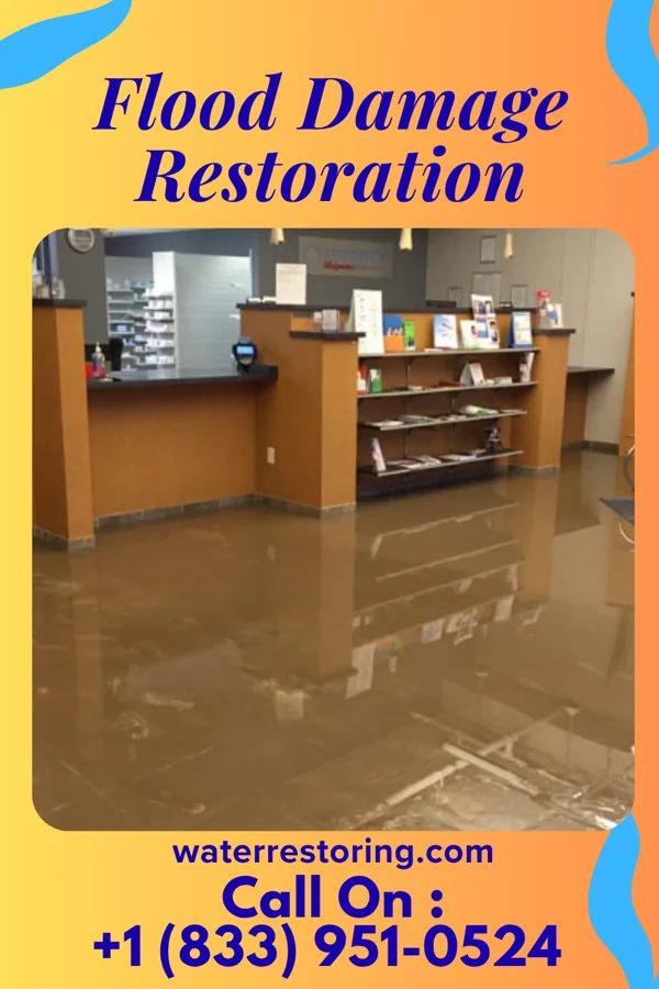 Flood Damage Restoration in Table Rock, NE